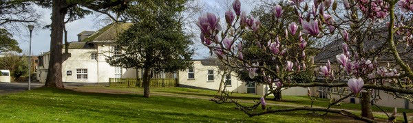 Teignmouth Community School End of Term Bulletin